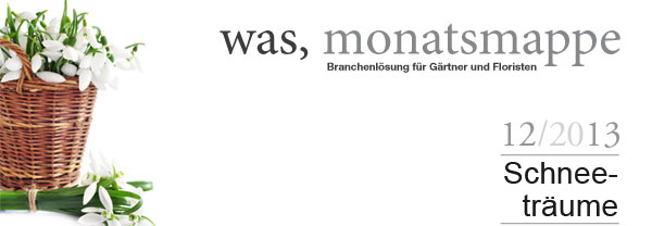 12/2013 Schneeträume