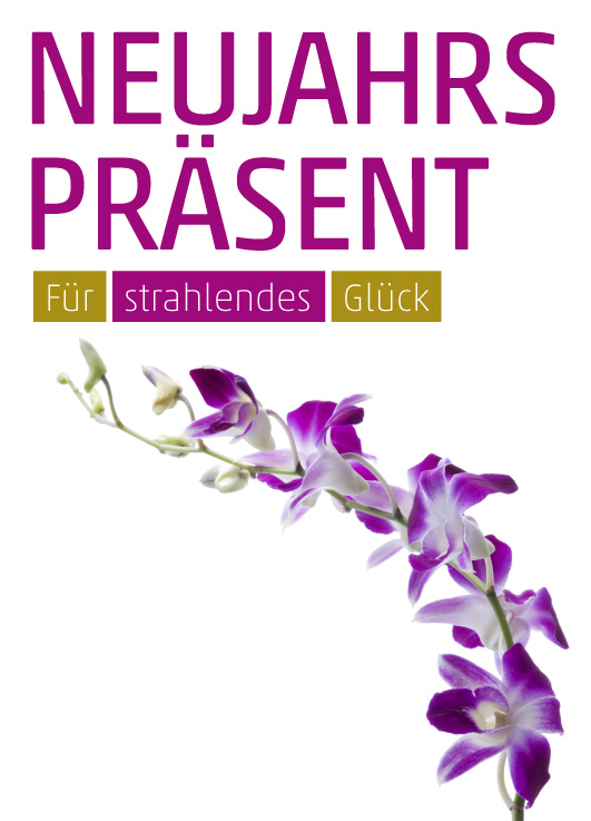 Anzeige Orchidee