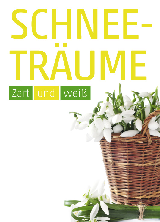 Anzeige Schneeglöckchen