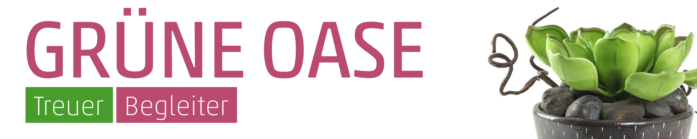 Banner Flammendes Kätchen