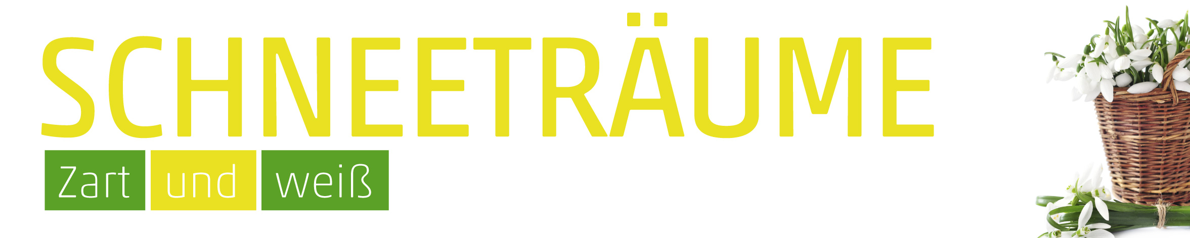 Banner Schneeglöckchen