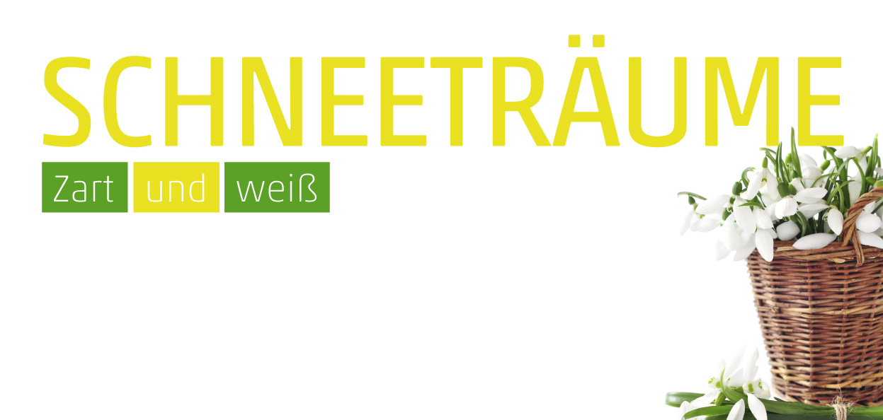 Einladung "Schneeglöckchen" (Vorderseite) 