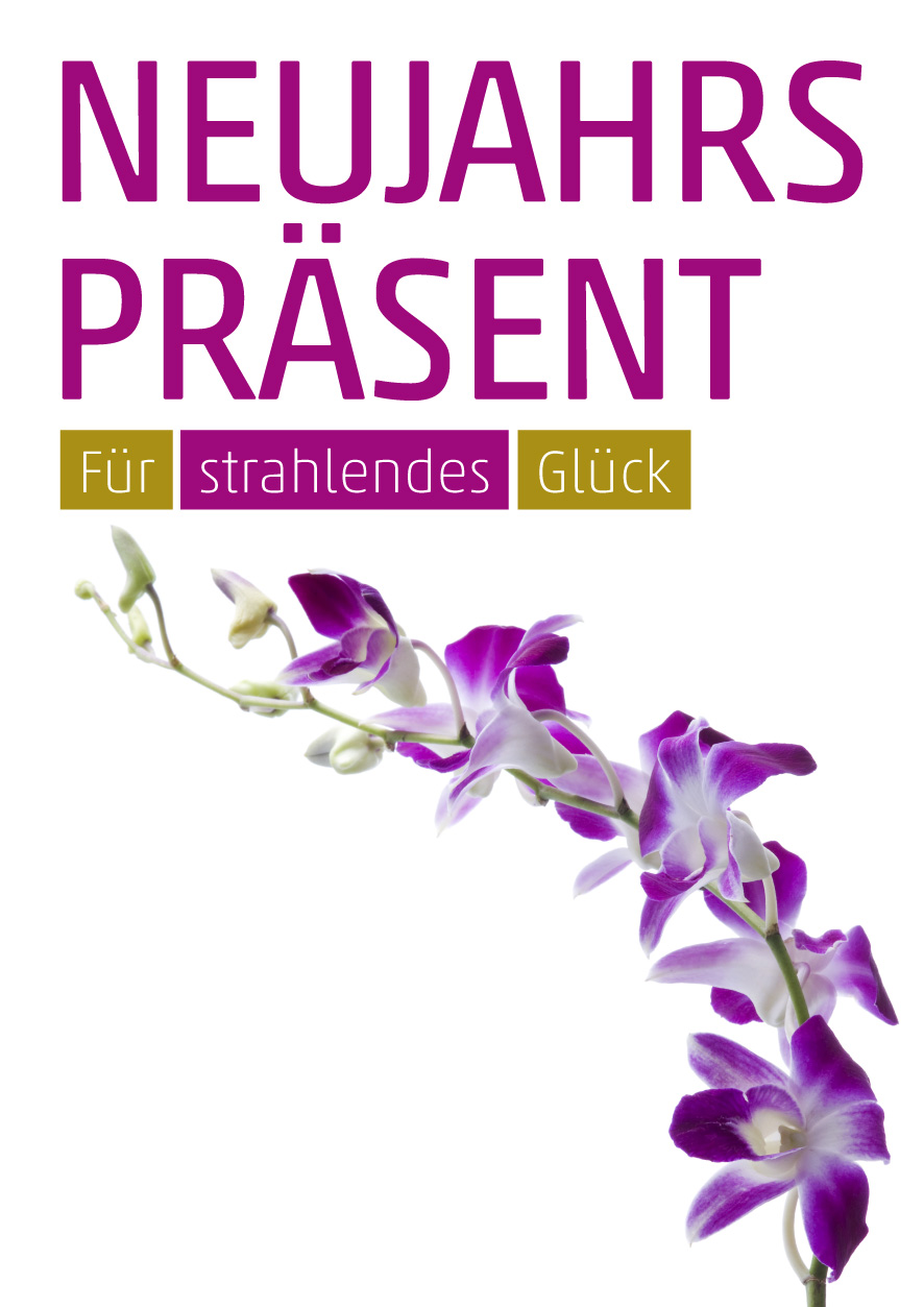 Plakat Orchidee