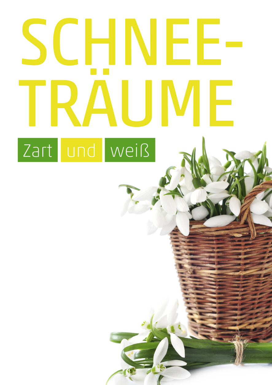 Plakat Schneeglöckchen