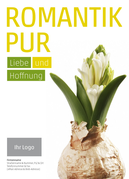 Anzeige Hyazinthe (weiß)