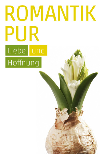 Etikett Hyazinthe (weiß)