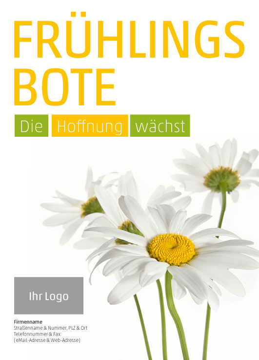 Anzeige Gänseblümchen