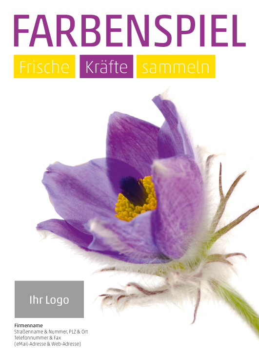 Anzeige Küchenschelle