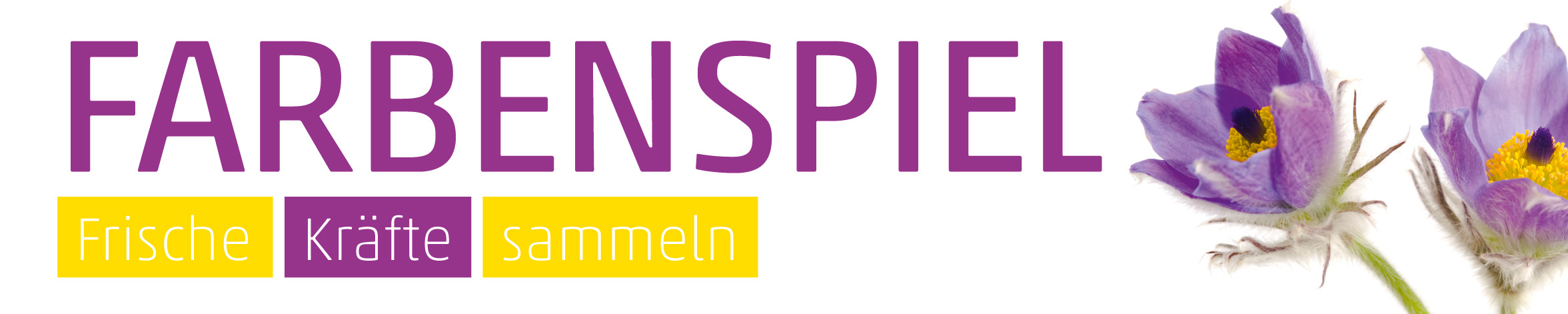 Banner Küchenschelle