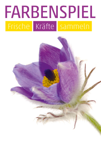 Etikett Küchenschelle