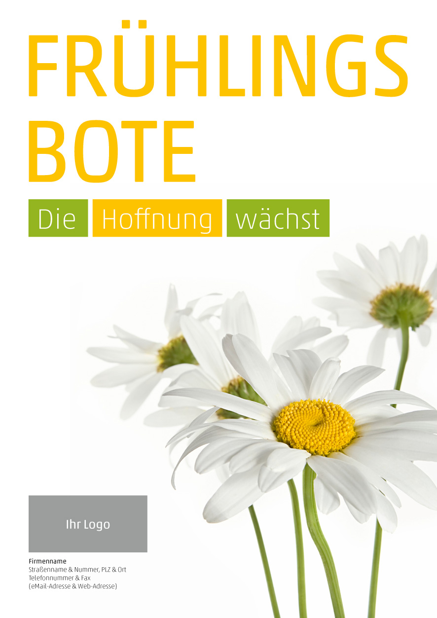 Plakat Gänseblümchen
