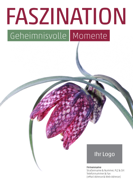 Anzeige Schachbrettblume