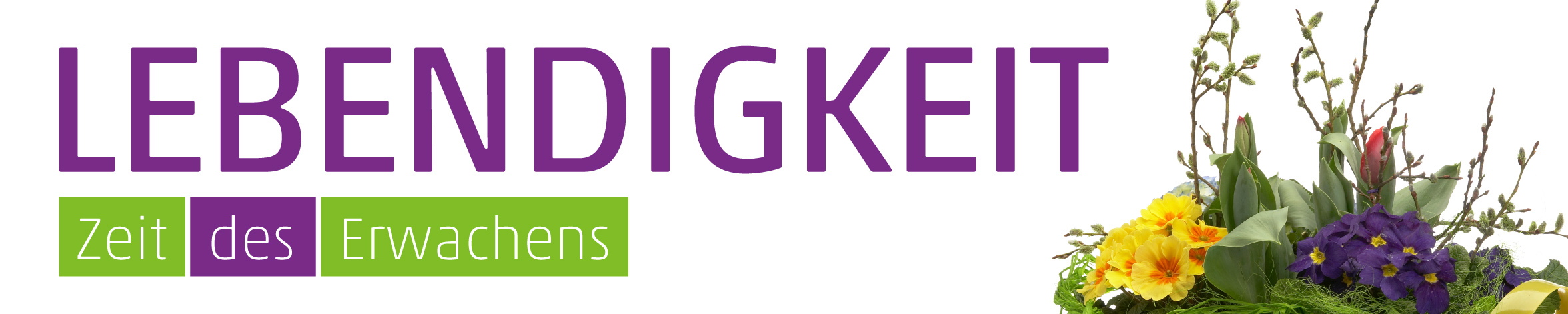 Banner Frühlingskorb