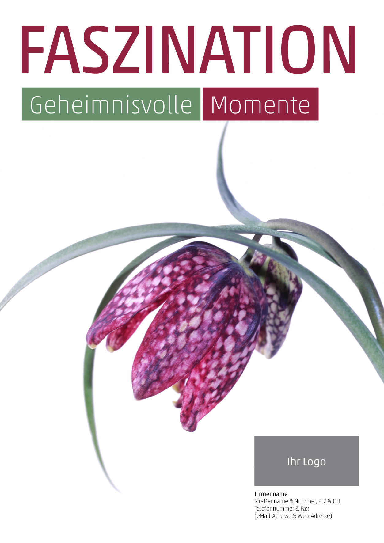 Plakat Schachbrettblume