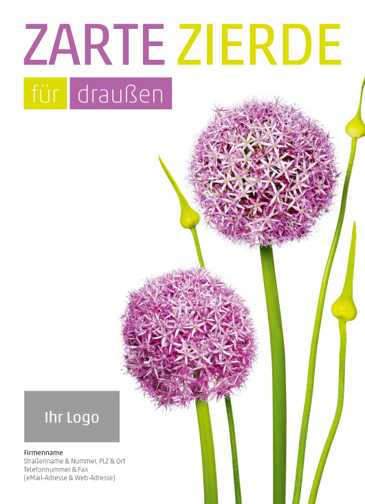 Anzeige Allium