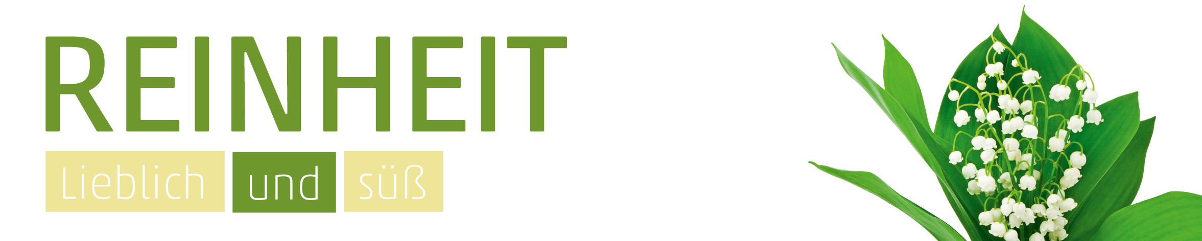 Banner Maiglöckchen