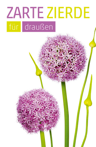 Etikett Allium