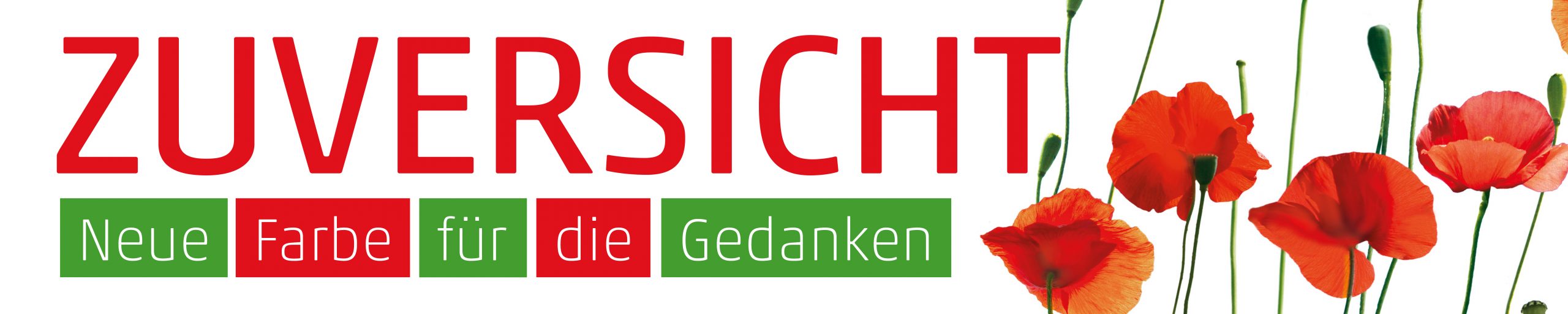 Banner Mohnblume