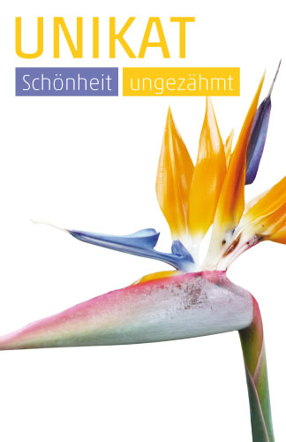 Etikett Strelitzie 2