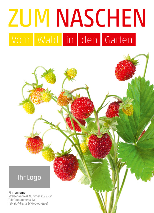 Anzeige Erdbeeren