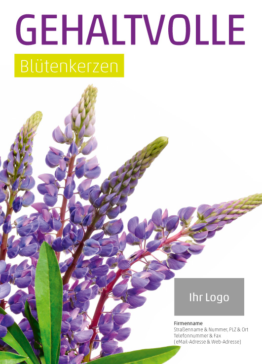Anzeige Lupine