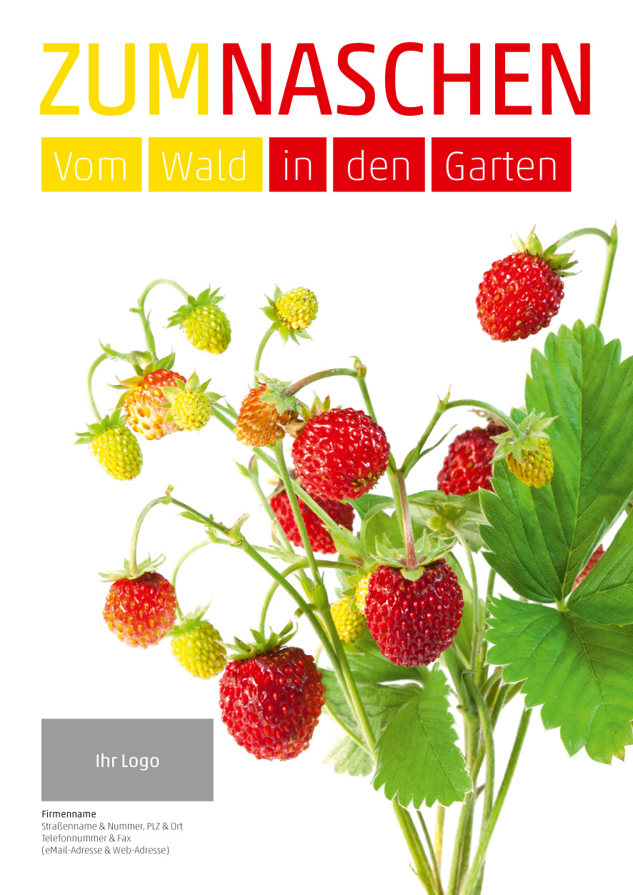 Plakat Erdbeeren