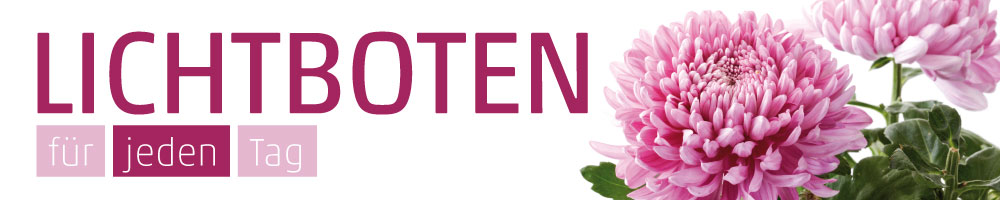 Banner Chrysanthemen