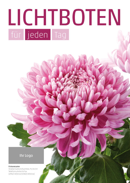 Plakat Chrysanthemen