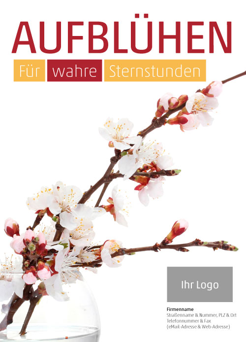 Anzeige Kirschzweig zu Barbaratag