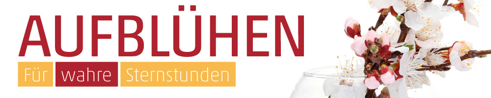 Banner Kirschzweig zu Barbaratag