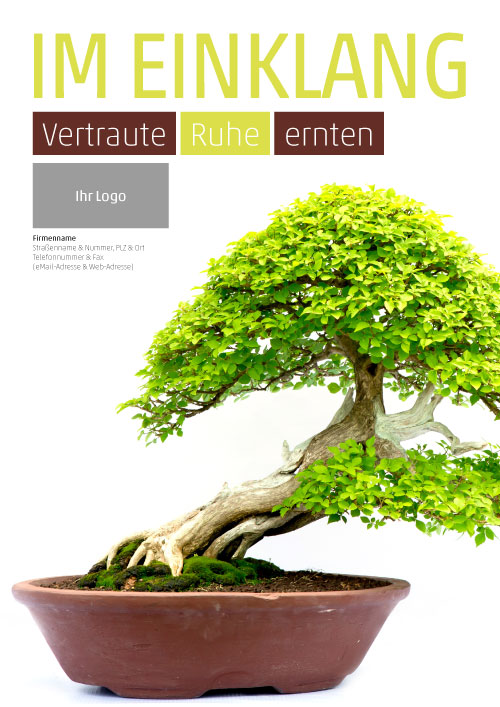 Plakat Bonsai