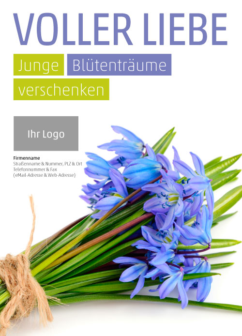 Anzeige Scilla Blaustern