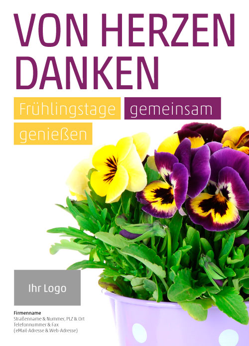 Anzeige Stiefmütterchen - Hornveilchen