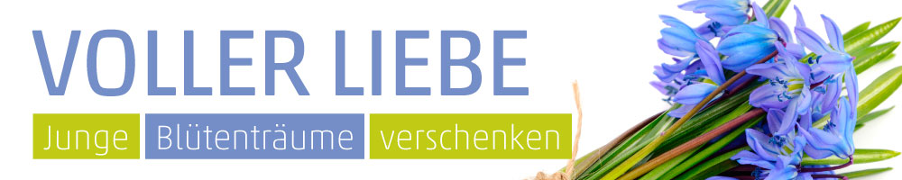 Banner Scilla Blaustern