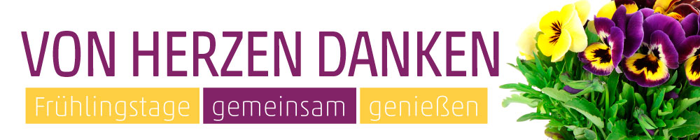 Banner Stiefmütterchen - Hornveilchen