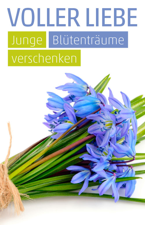 Etikett Scilla Blaustern