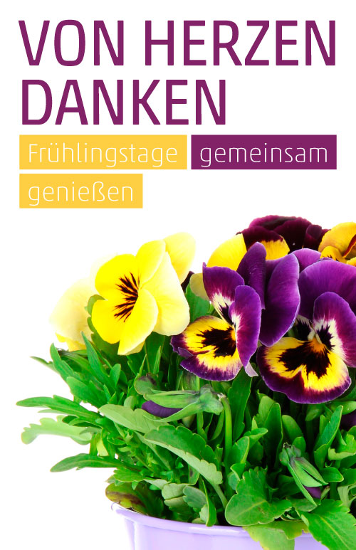 Etikett Stiefmütterchen - Hornveilchen