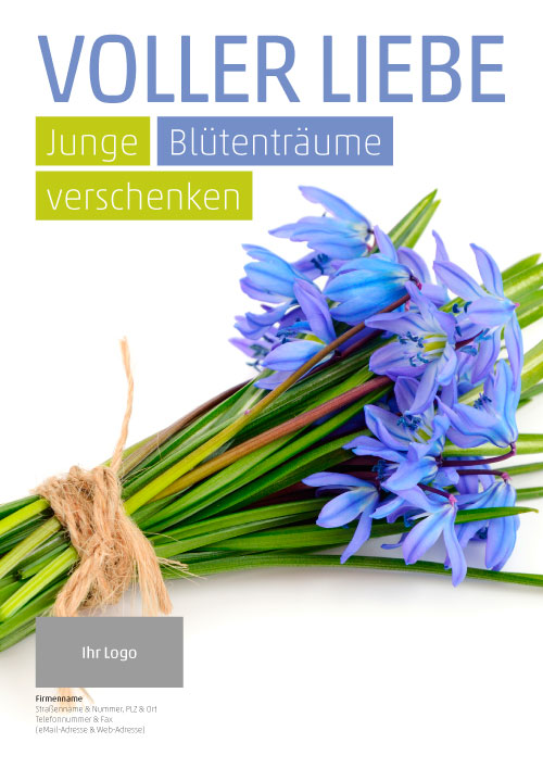 Plakat Scilla Blaustern