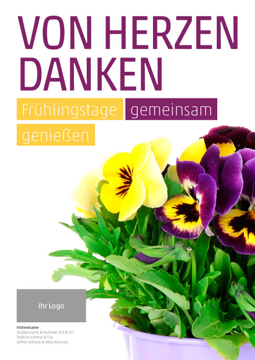 Plakat Stiefmütterchen - Hornveilchen