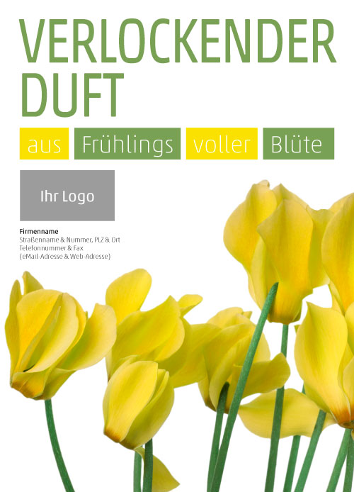 Anzeige Veilchen (gelb)