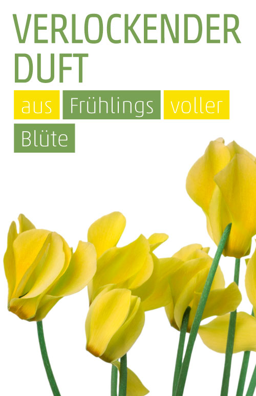 Etikett Veilchen (gelb)