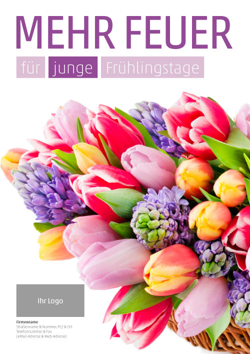 Plakat Tulpe