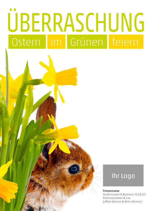 Anzeige Osterglocken und Hase