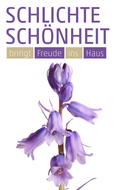 Etikett Spanisches Hasenglöckchen