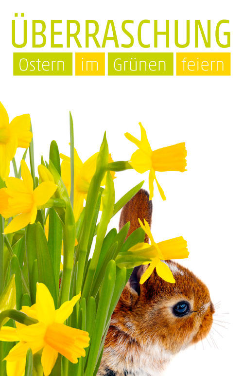 Etikett Osterglocken und Hase