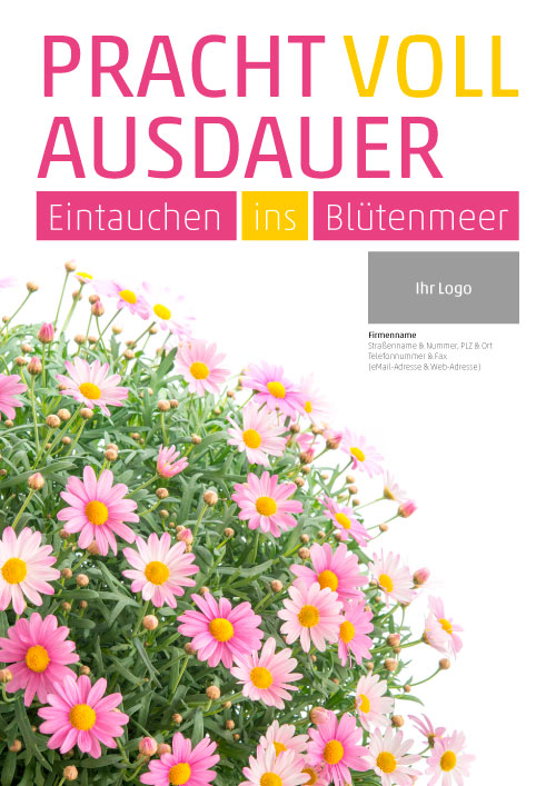 Plakat Margeritenbusch
