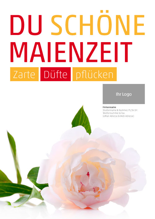 Plakat Pfingstrose