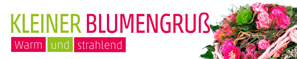 Banner Strauß mit Bartnelken & Rosen