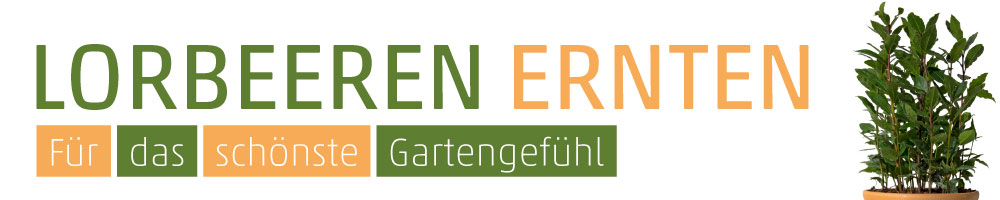 Banner Lorbeeren