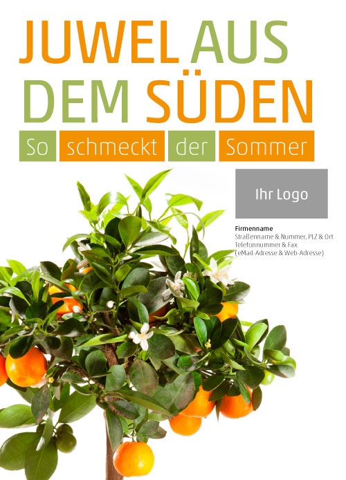 Anzeige Mandarinenbaum